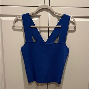 Lucy Paris cute crop top in Electric blue size medium.